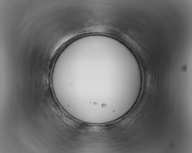 X0000116351166200912151344