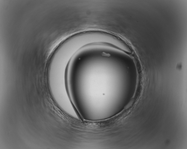 X0000116351167200912151344