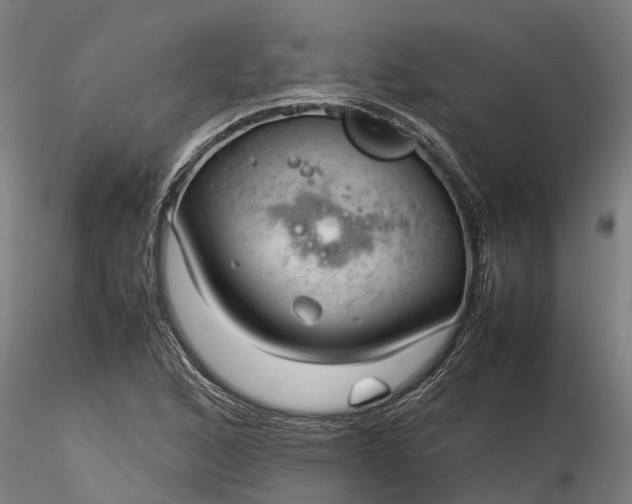 X0000116351168200912151344