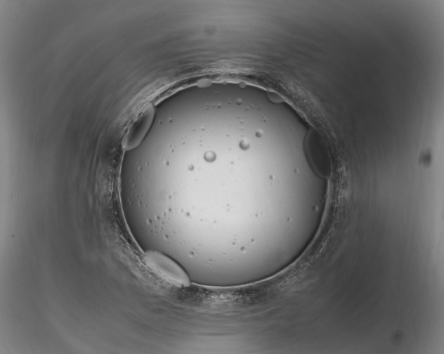 X0000116351169200912151344