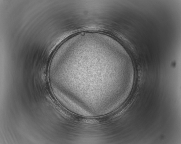 X0000116351170200912151344