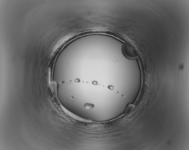 X0000116351171200912151344