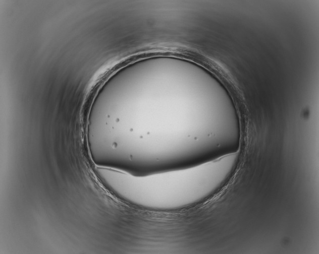 X0000116351172200912151344