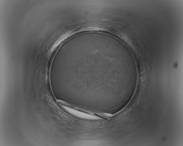 X0000116351173200912151344