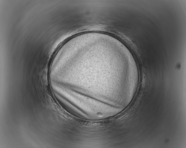 X0000116351174200912151344