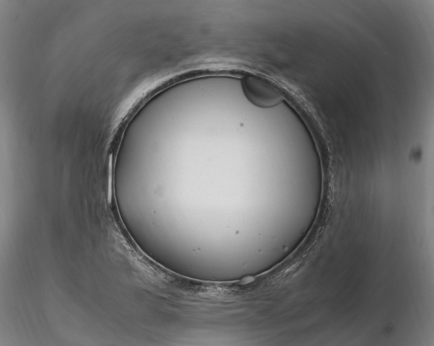 X0000116351175200912151344