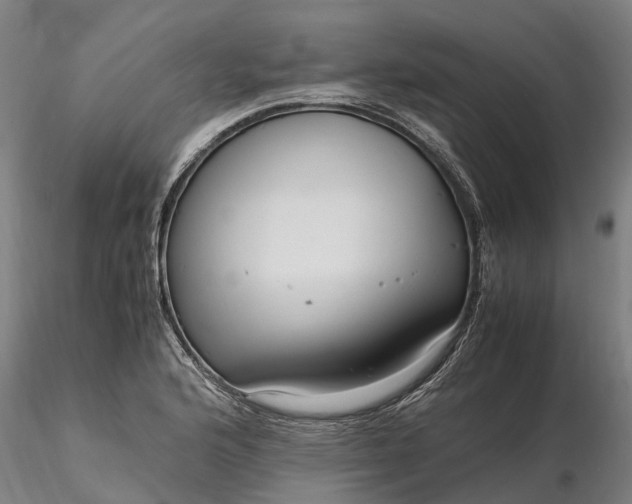 X0000116351176200912151344