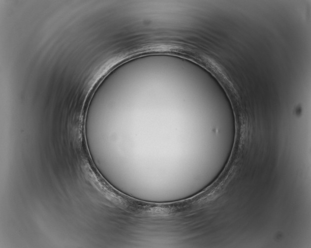 X0000116351178200912151343