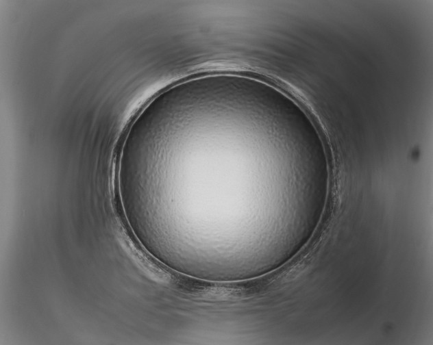 X0000116351179200912151343