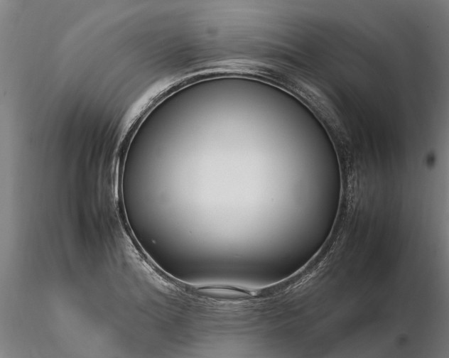 X0000116351180200912151343