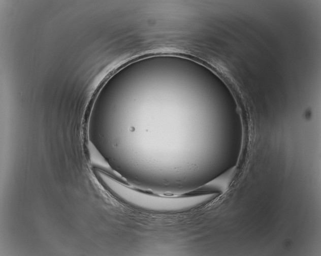 X0000116351181200912151343