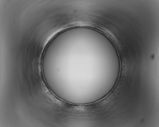 X0000116351182200912151343