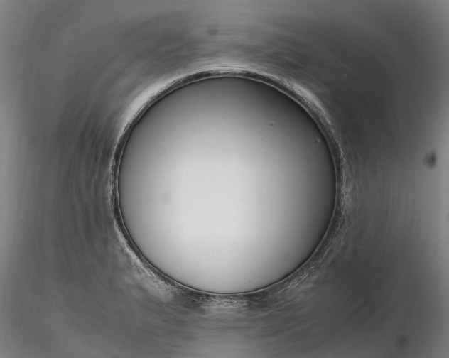 X0000116351183200912151343