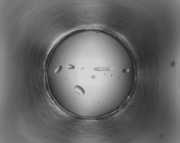 X0000116351184200912151343