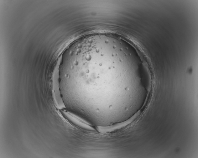 X0000116351185200912151343