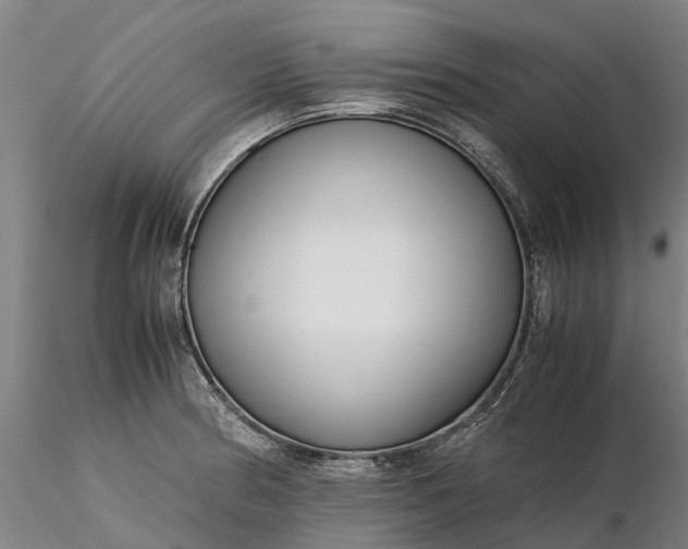 X0000116351186200912151343