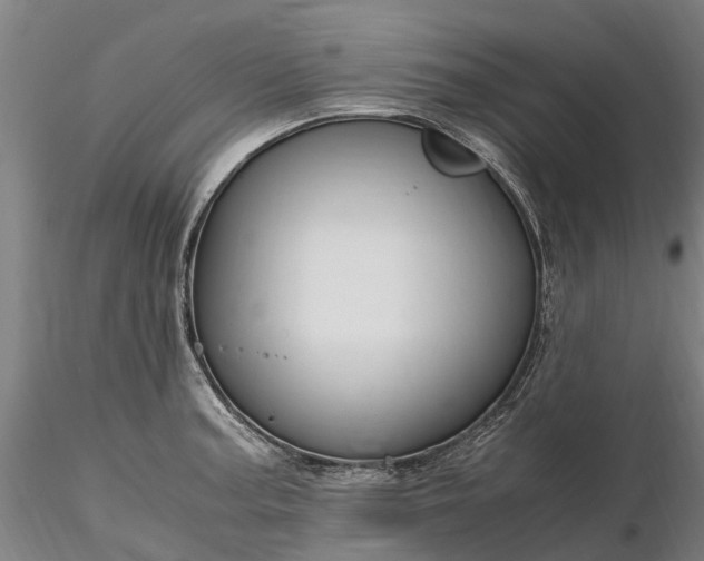 X0000116351187200912151343