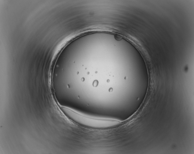 X0000116351188200912151343