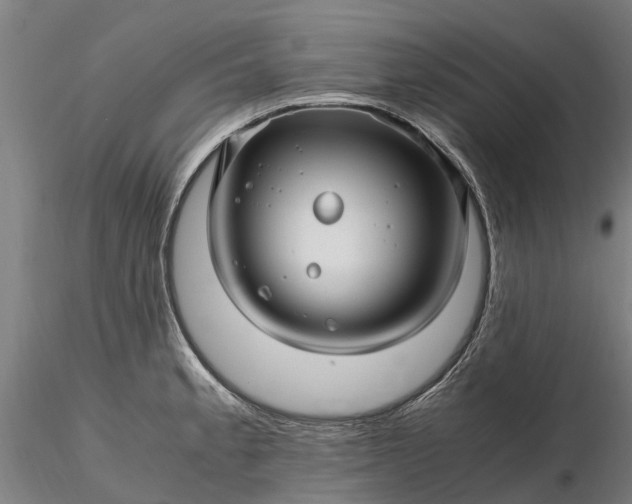 X0000116351189200912151343