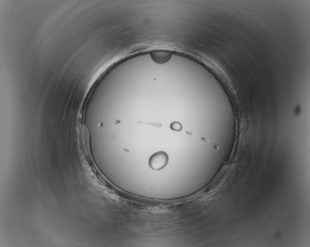 X0000116351190200912151343