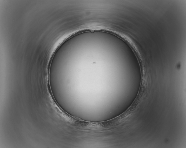 X0000116351191200912151343