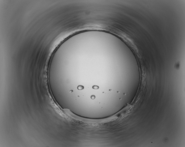 X0000116351192200912151343