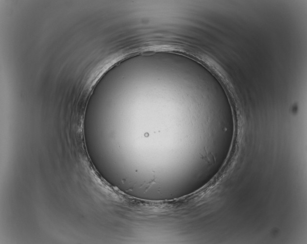 X0000116351193200912151343