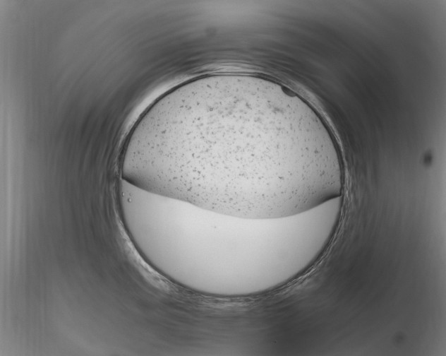 X0000116351195200912151343