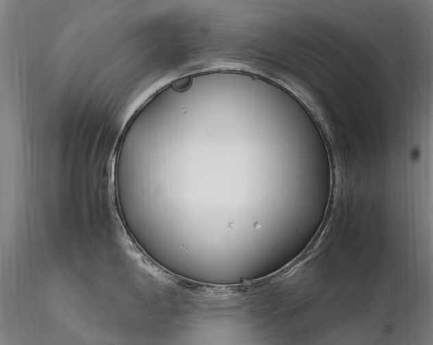 X0000116351198200912151343