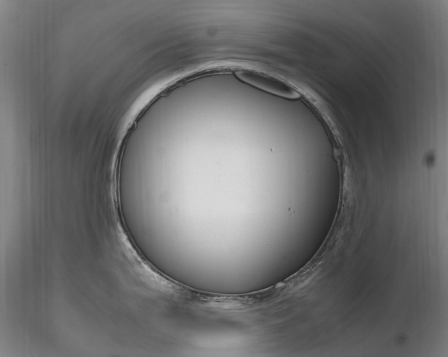 X0000116351199200912151343