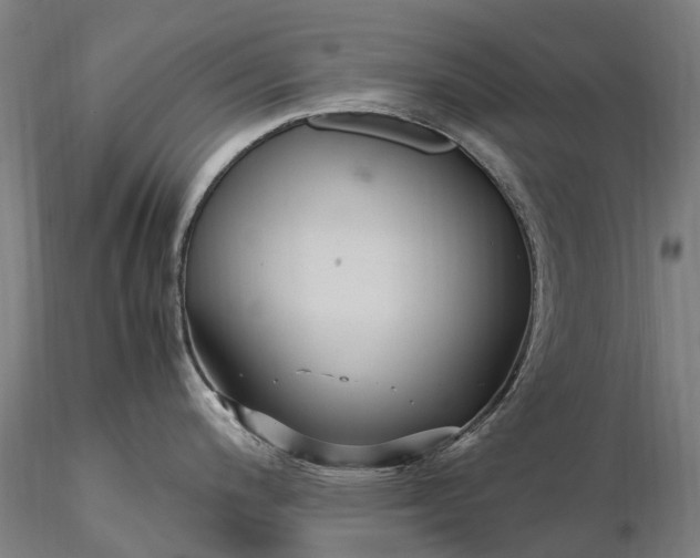 X0000116351200200912151343