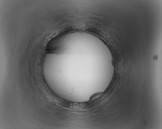 X0000116351201200912151343