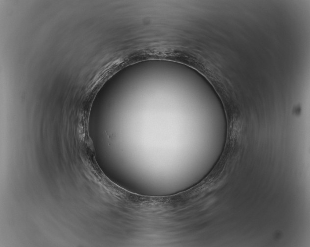 X0000116351202200912151343