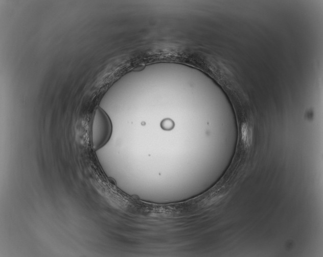 X0000116351203200912151343