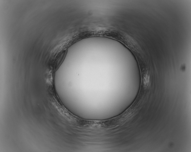 X0000116351204200912151343