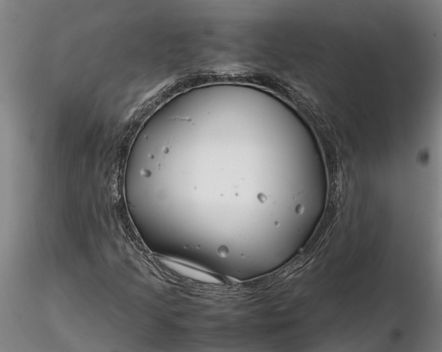 X0000116351205200912151343