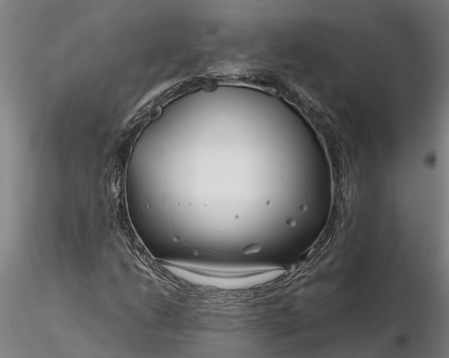 X0000116351206200912151343