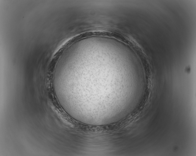 X0000116351208200912151343