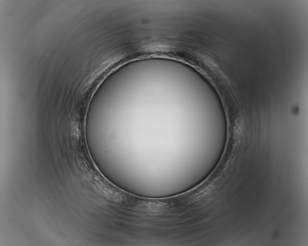 X0000116351209200912151343