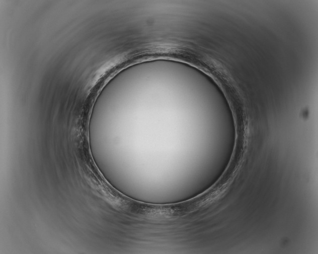 X0000116351210200912151343