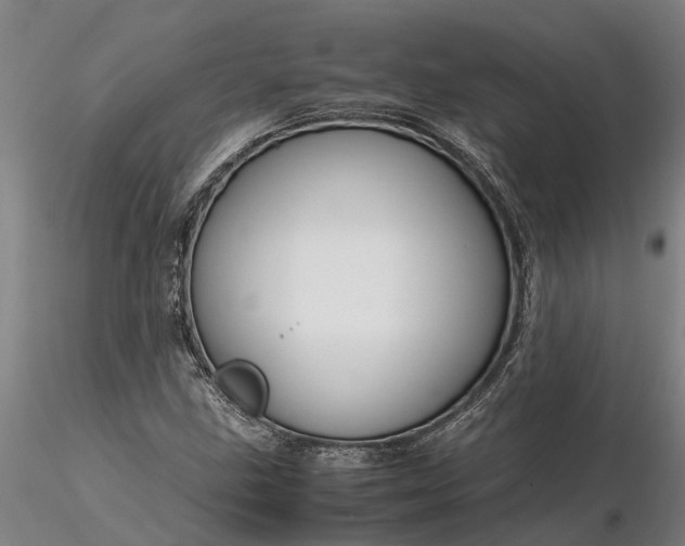 X0000116351211200912151343