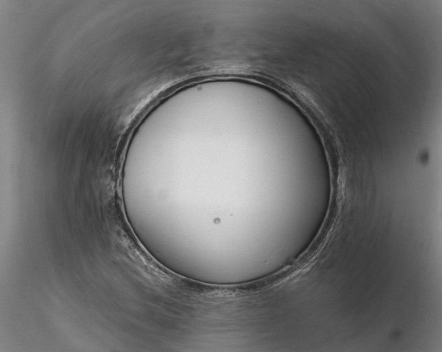 X0000116351212200912151343