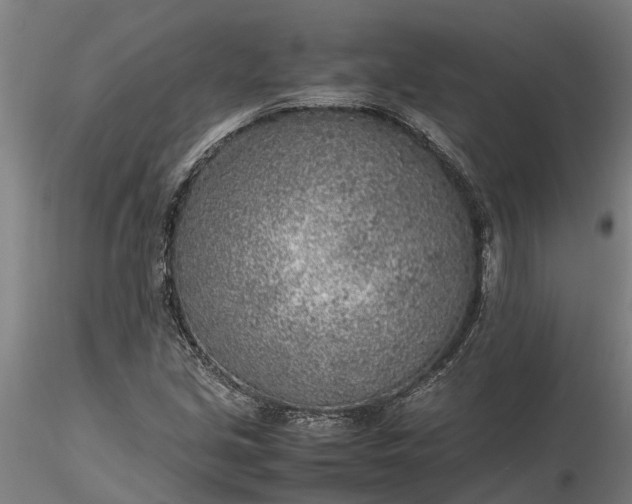 X0000116351213200912151343