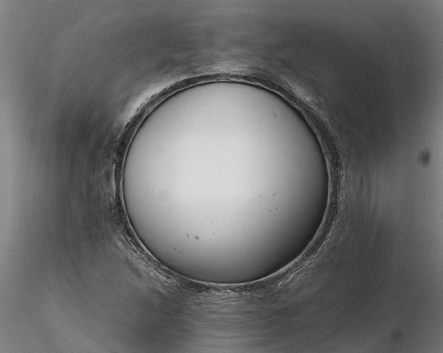 X0000116351214200912151343