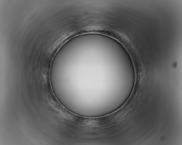 X0000116351217200912151343