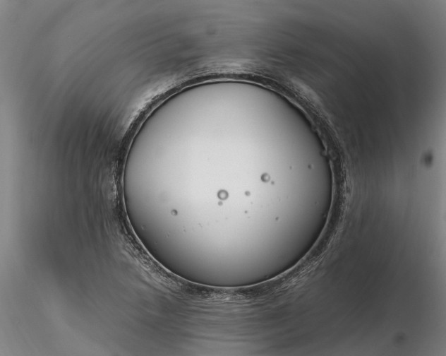 X0000116351218200912151343