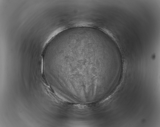 X0000116351219200912151343