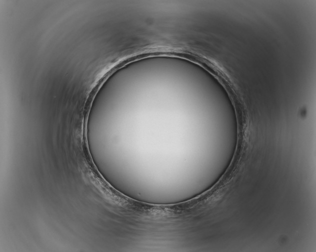 X0000116351220200912151343