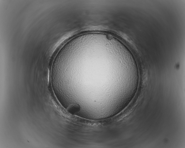 X0000116351221200912151343