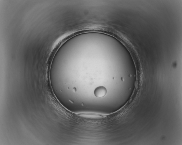 X0000116351222200912151343